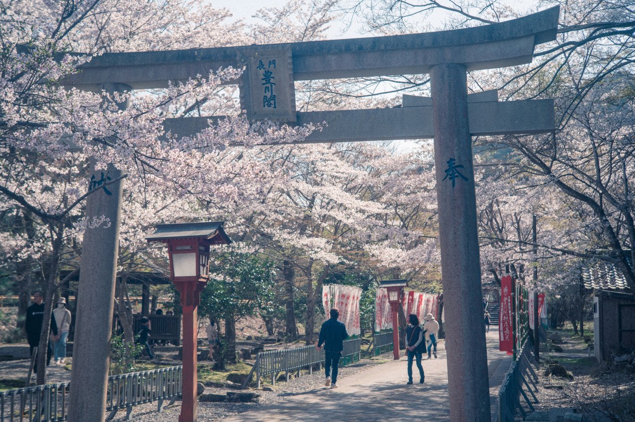 🏯 다이네이지 사찰(다이네이지) 이미지 1